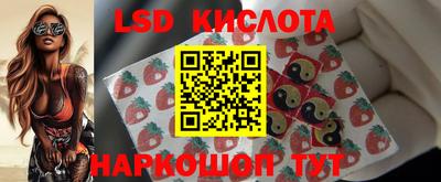винт Донецк