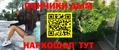 мет Дубна